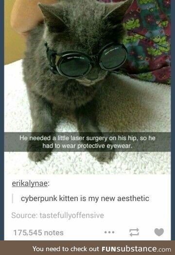Cyberpunk Kitten