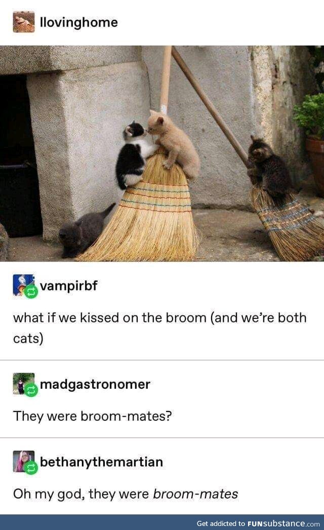 And They Were Broom-Mates