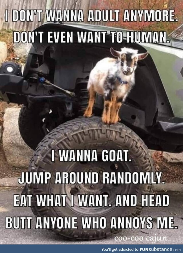 I am goat