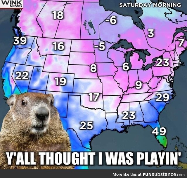 What does it mean if the groundhog falls down dead?
