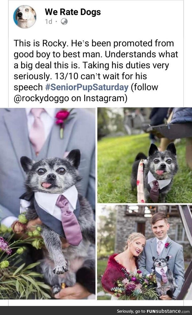 It's Sure To Be a Dream Wedding