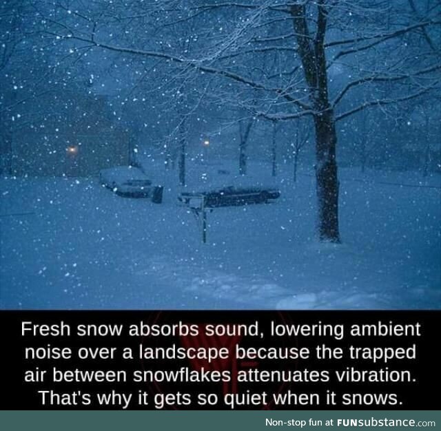 Why it gets quiet when it snows