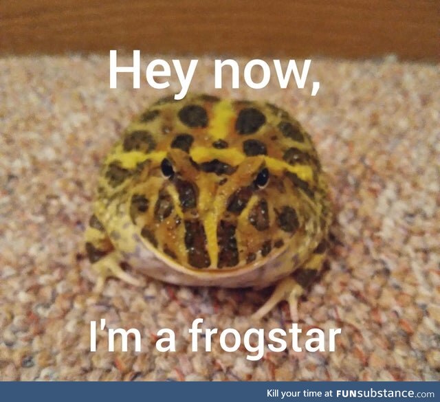 Froggo Fun R #42 - Somebody Once Told Me