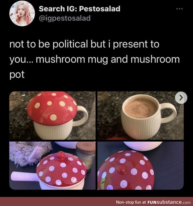 Mushroom mug and mushroom pot