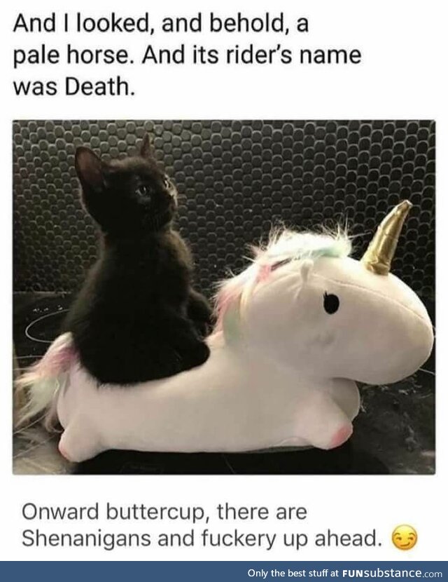 A Pale horse named buttercup