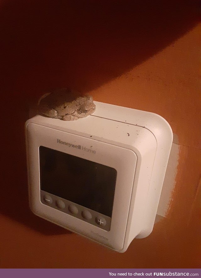 Froggo Fun R #54 - Stalwart Thermostat Defender