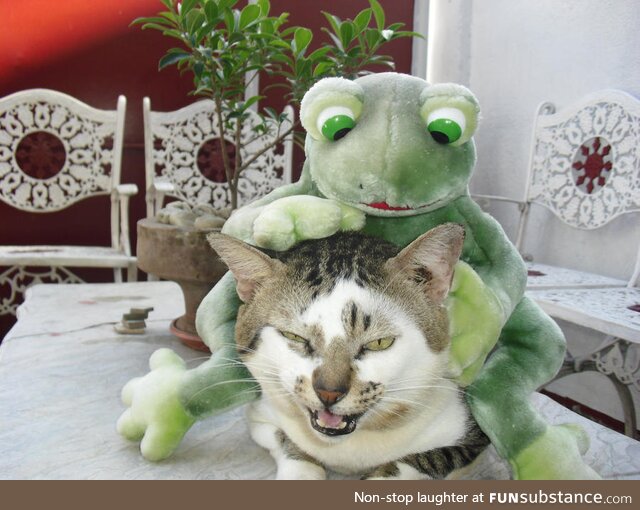 Froggo Fun R #57 - Bond Villain Strokes His Cat