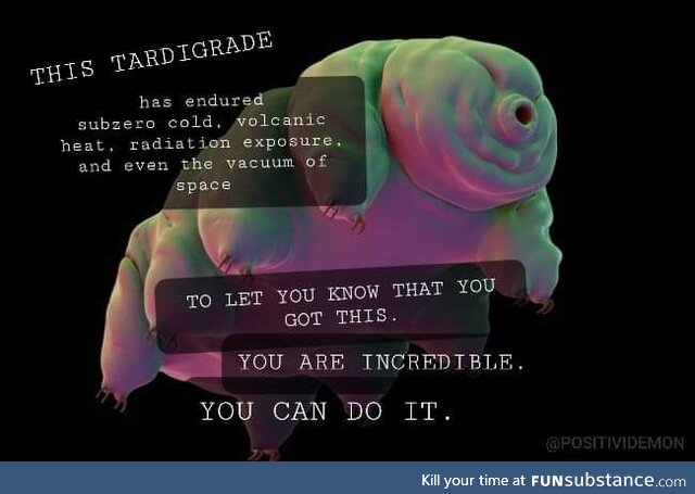 Are you saying the waterbear is wrong?