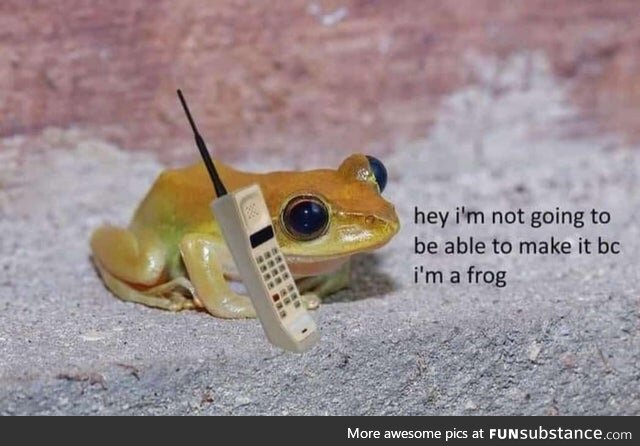 Froggo Fun R #62 - Best Excuse