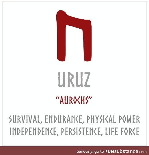 Rune Meaning - Uruz