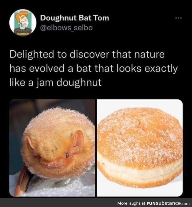 This Is My Jam (Doughnut)