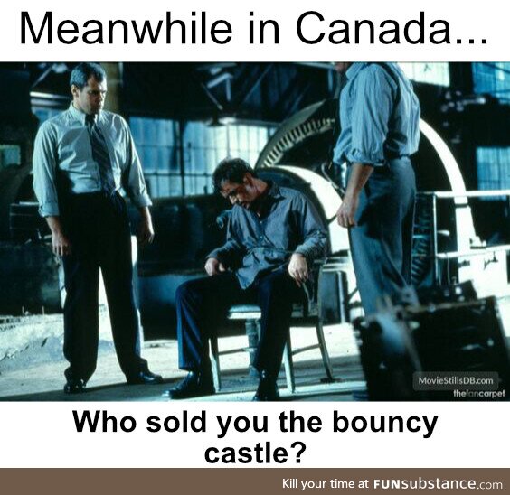 Who sold you the bouncy castle?