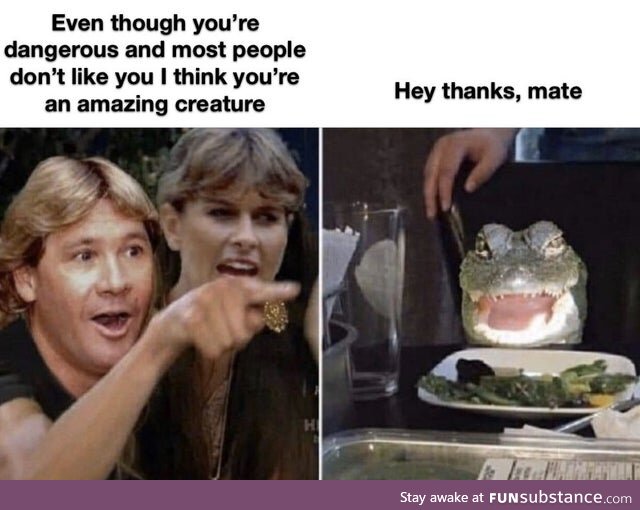 I don't have a title. Just a Steve Irwin meme