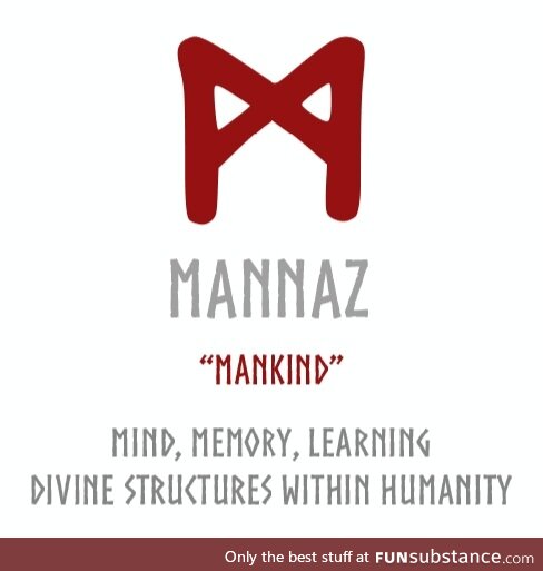 Rune Meaning - Mannaz
