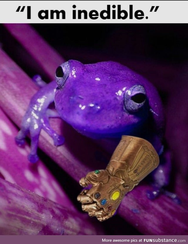 Froggo Fun R #90 - "Dread it. Run from it. Wednesday arrives all the same, my dudes."