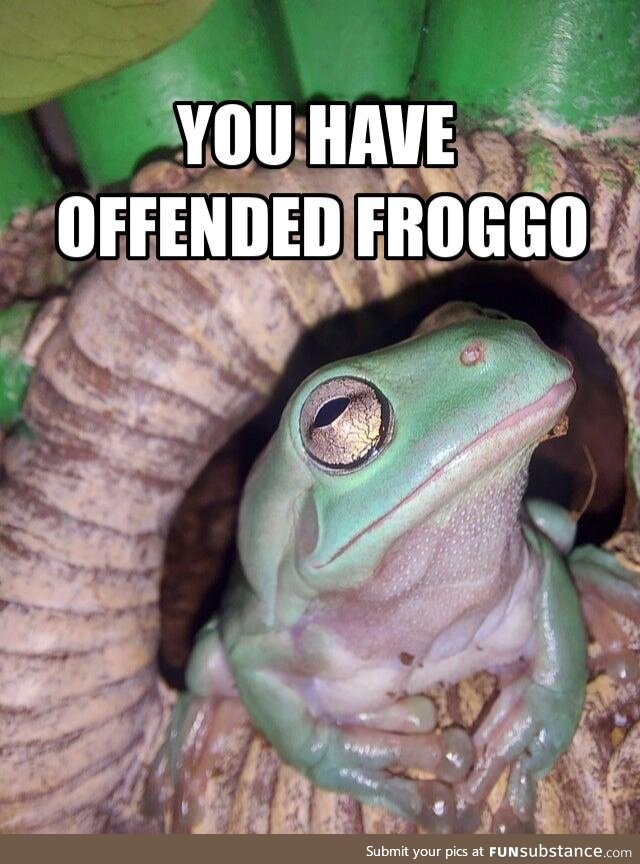 Froggo Fun R #96 - How Could You?