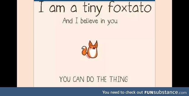 Foxtato Knows