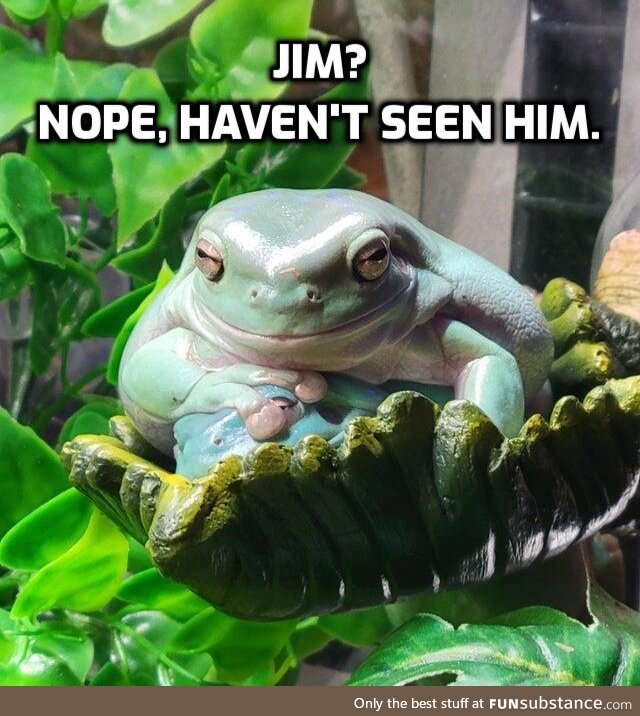 Froggo Fun R #104 - Have You Seen Jim?