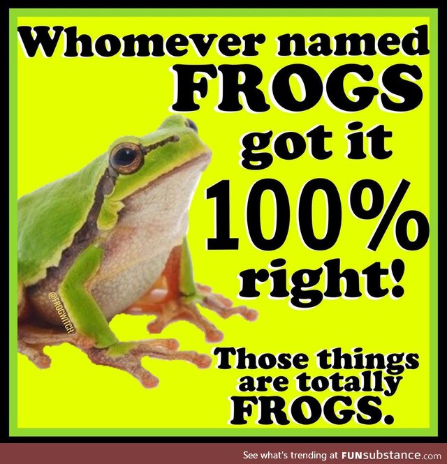 Froggo Fun R #113 - Accuracy