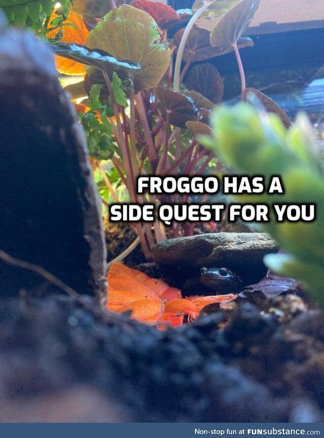 Froggo Fun R #122 - Welcome to Their Lair, Adventurer
