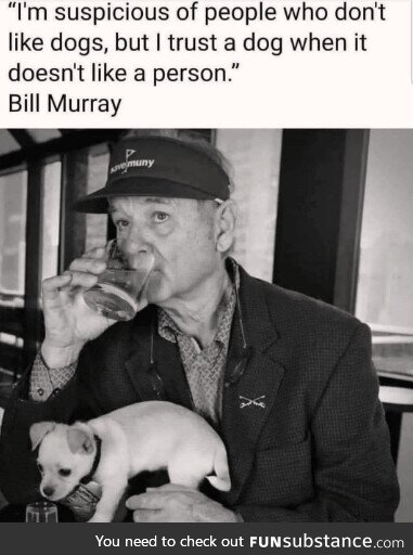 Same bill murray, same