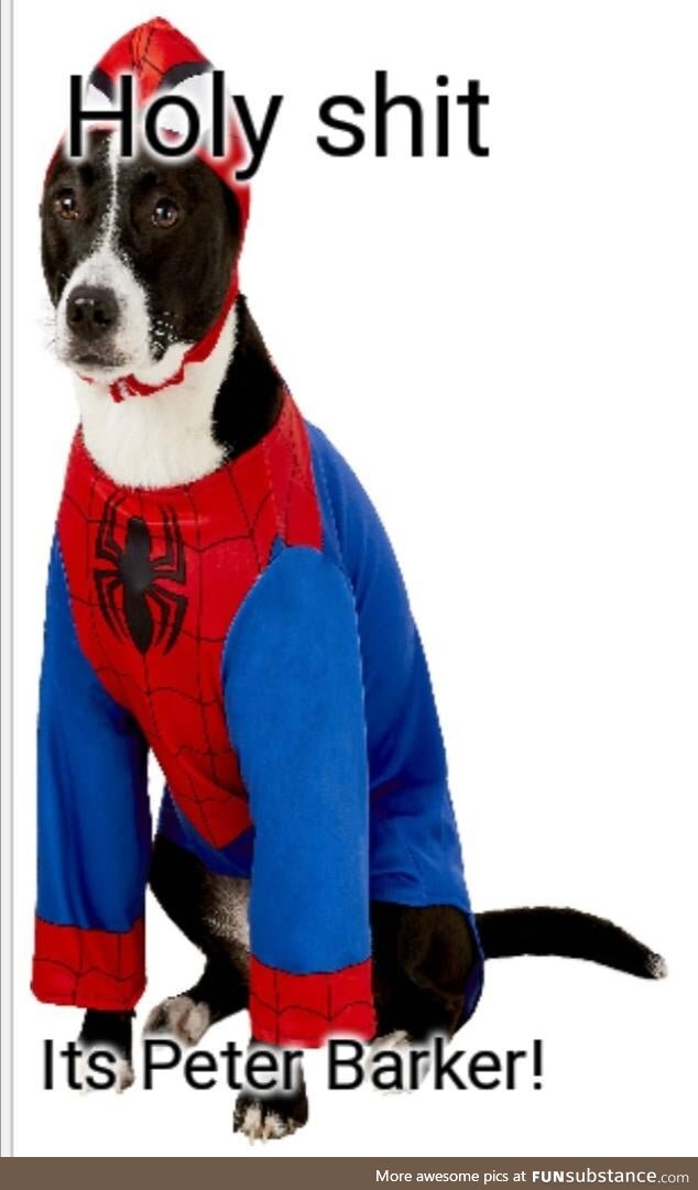 Spider-Dog Spider-Dog