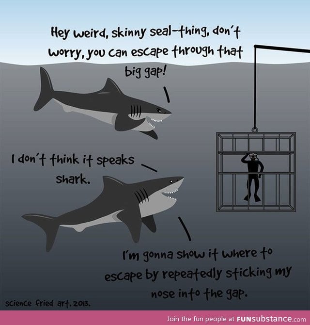Sharks are nice guys