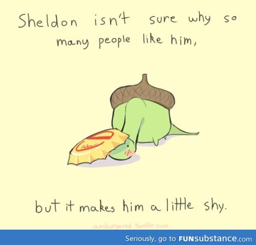 Shy Sheldon