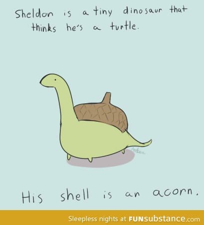 His shell is an acorn