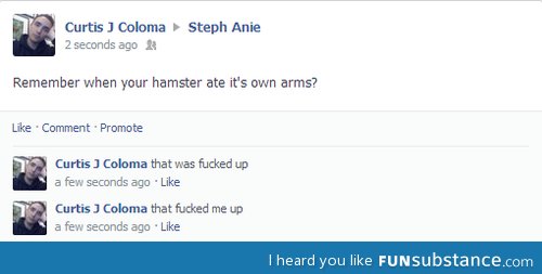 Hamster