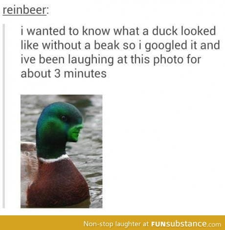 Beakless duck