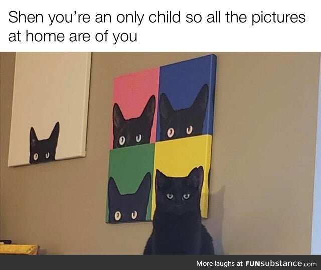 Cats Count as Kids, Right?