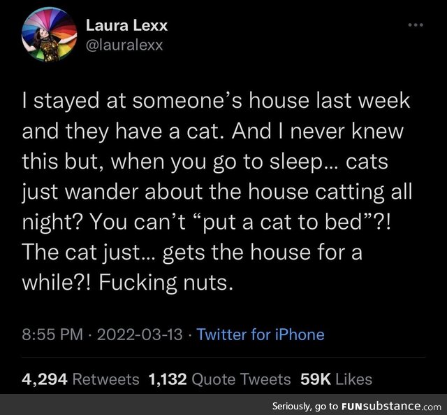 What did OP think cats do at night?