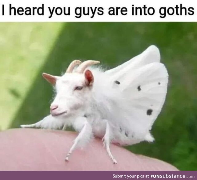Oh, so that's what a goth is...