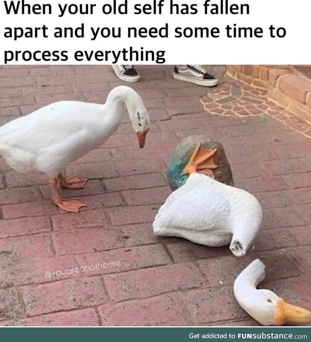 Takes a moment