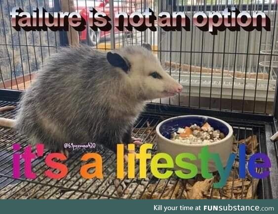 Opossum memes are great