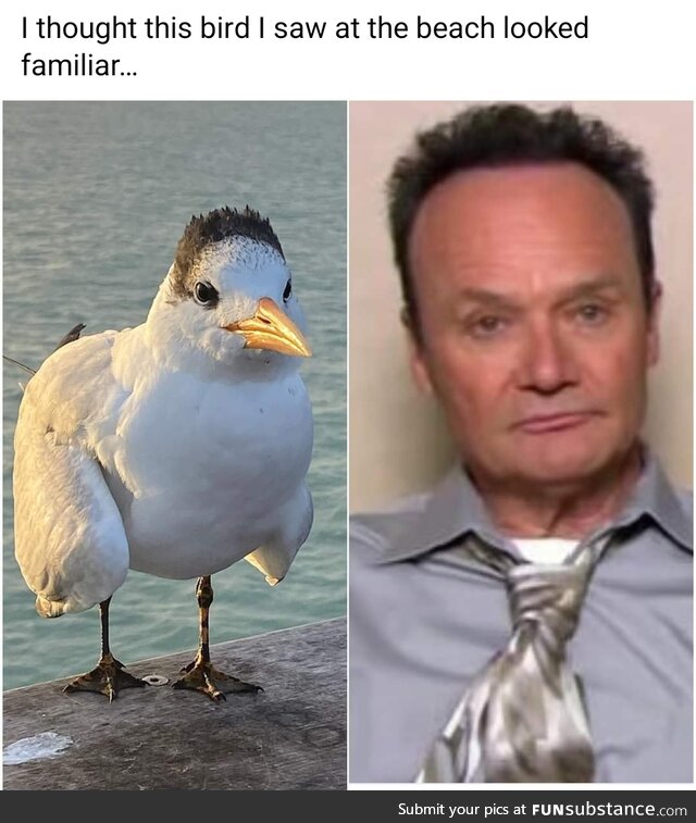 Creed Goose