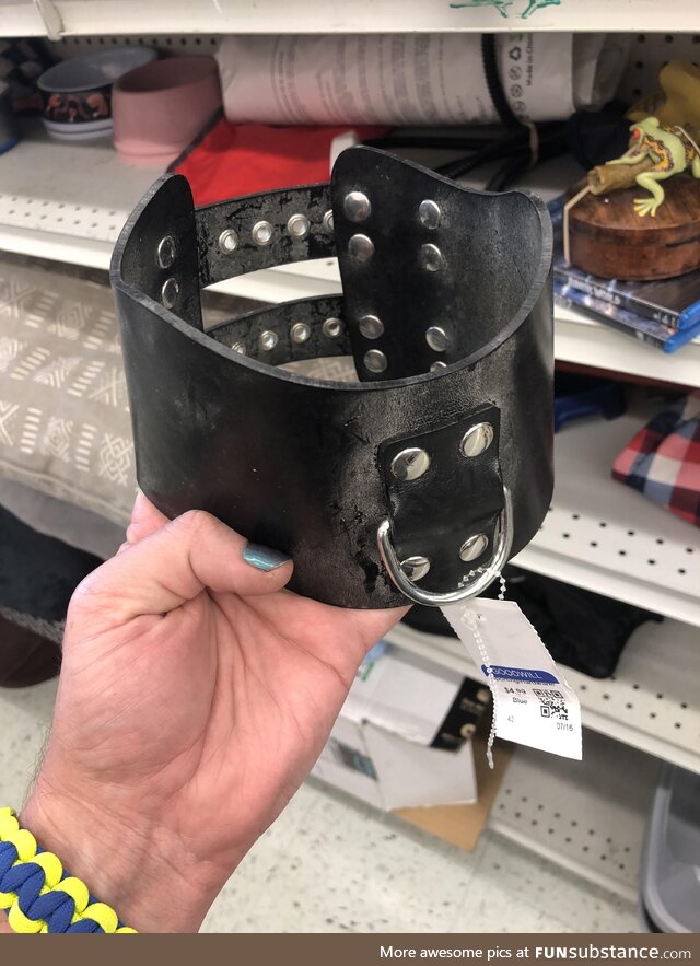 Found among the dog accessories at Goodwill…
