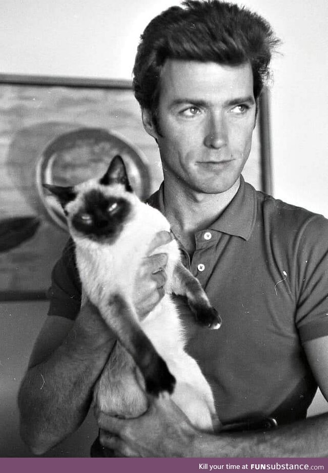 Clint Eastwood with his cat, 1960