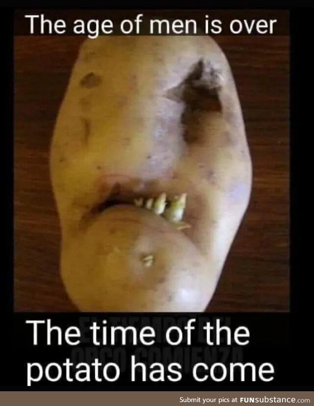 Potatoes!