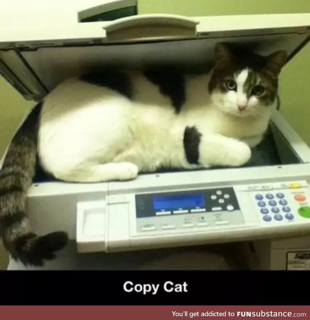 Cat scan