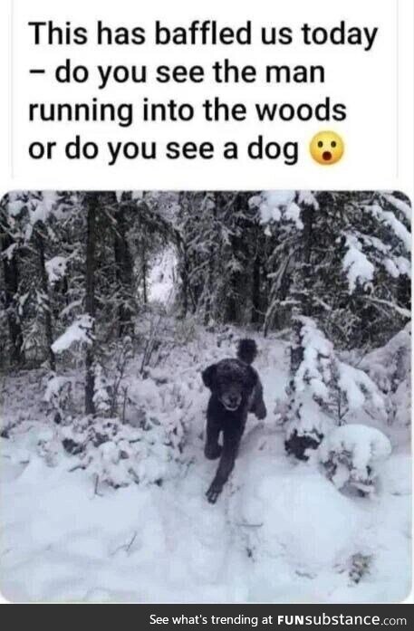 I'm going with dog