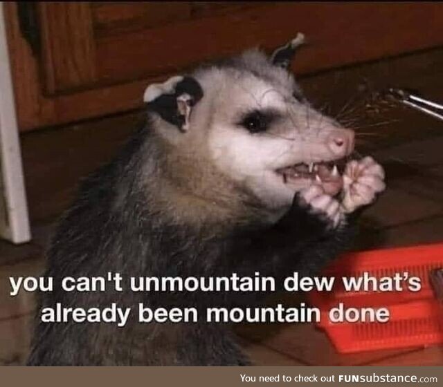 Haha, possum memes