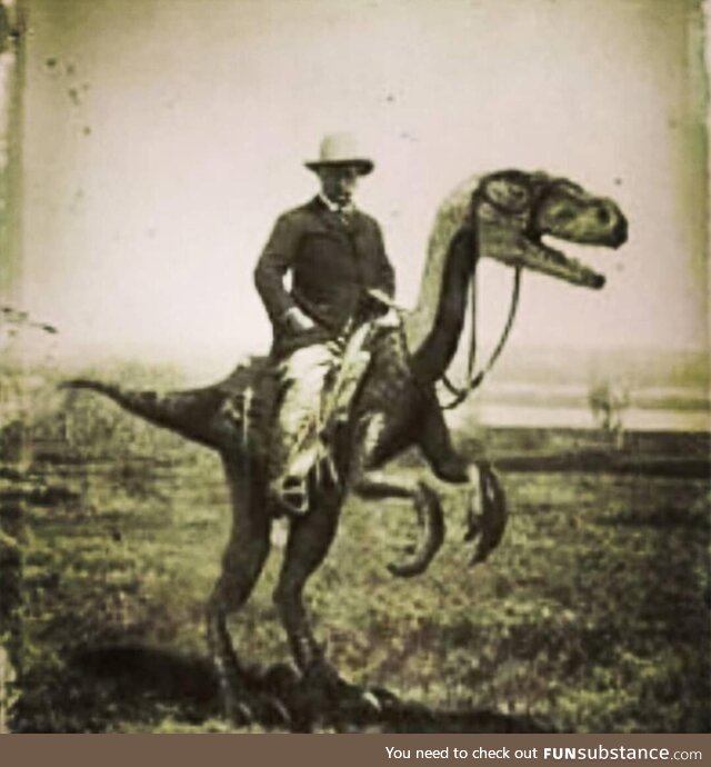 Teddy Roosevelt rides his War Raptor, Emma in Cuba. 1898