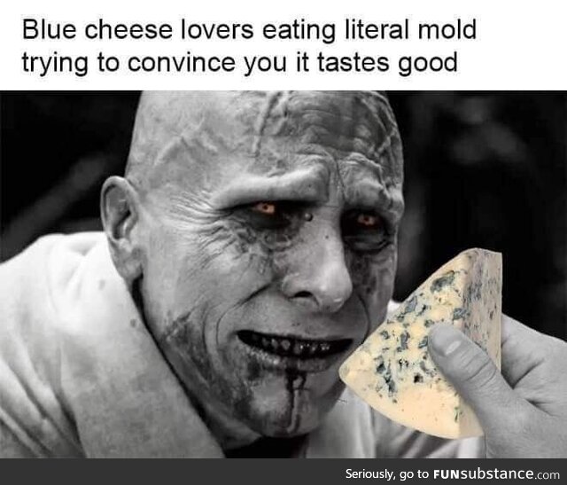 Apologies to mold lovers everywhere