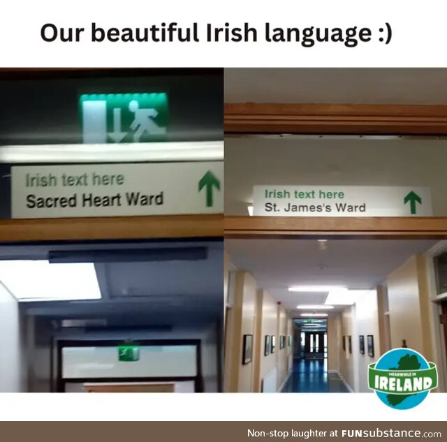 Irish text here