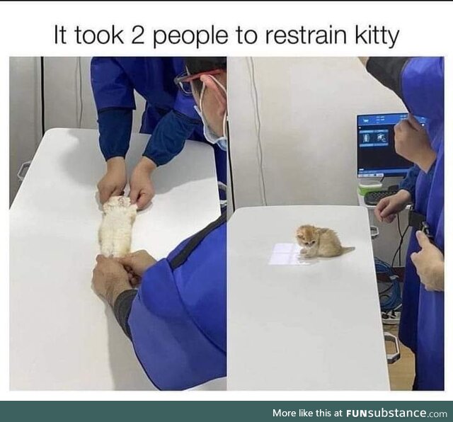 Poor kitty has to undergo treatment