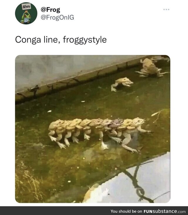 Conga Conga Con-GA