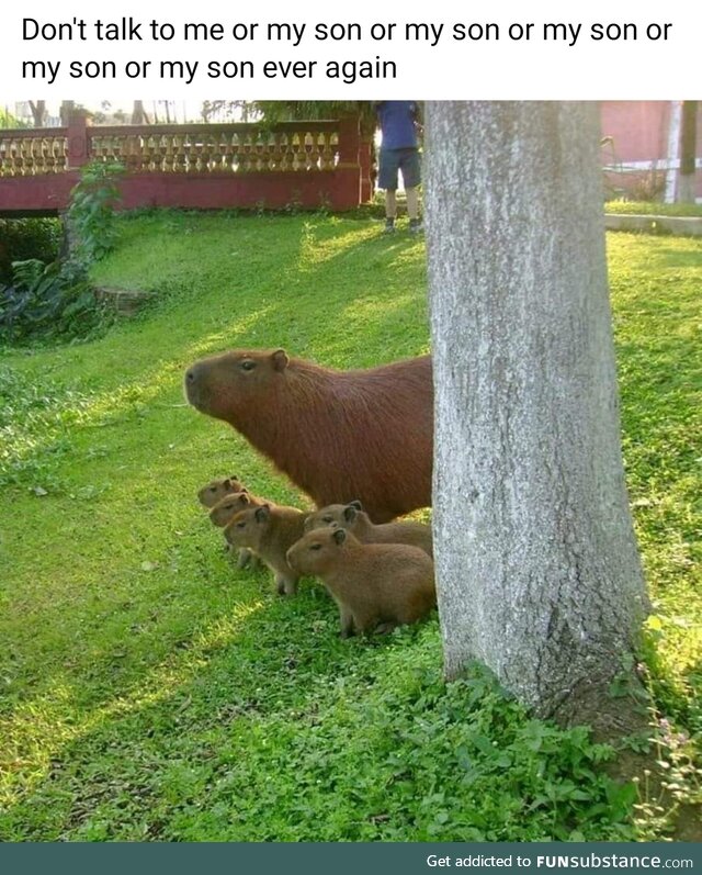 Capybara energy