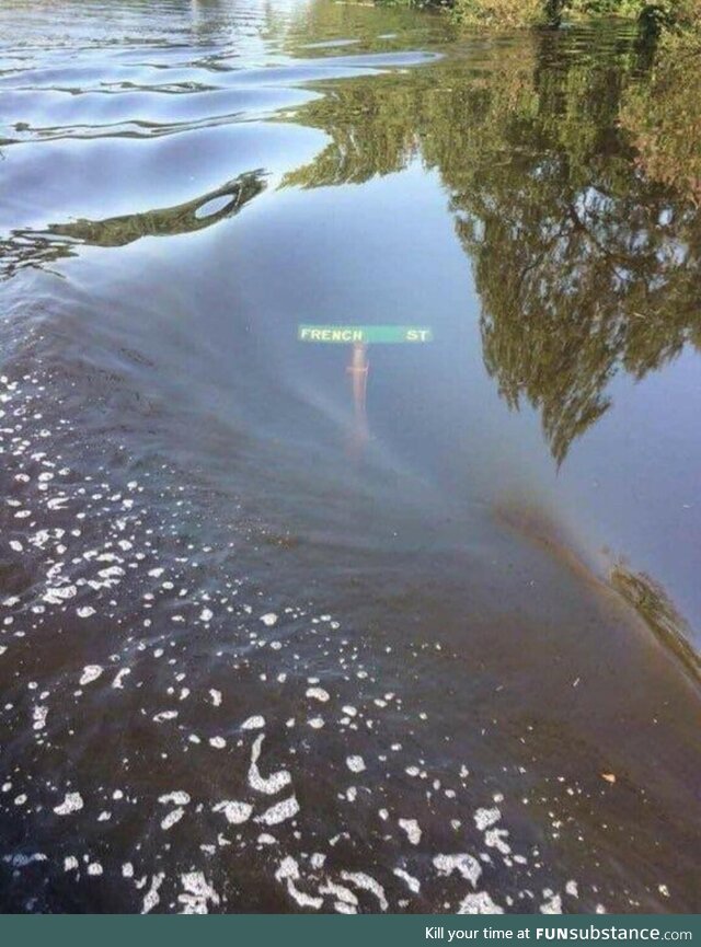 The great flood of Paris